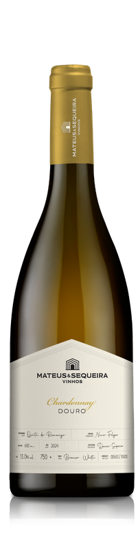 Parcela MSV Chardonnay 0