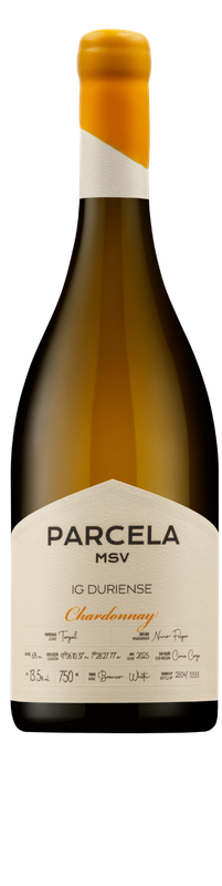 Parcela MSV Chardonnay 1