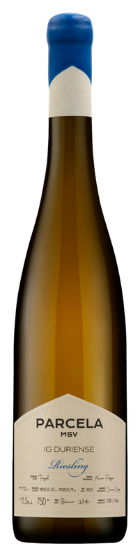 Parcela MSV Riesling 1