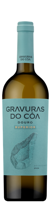 Gravuras do Côa Superior Branco 1