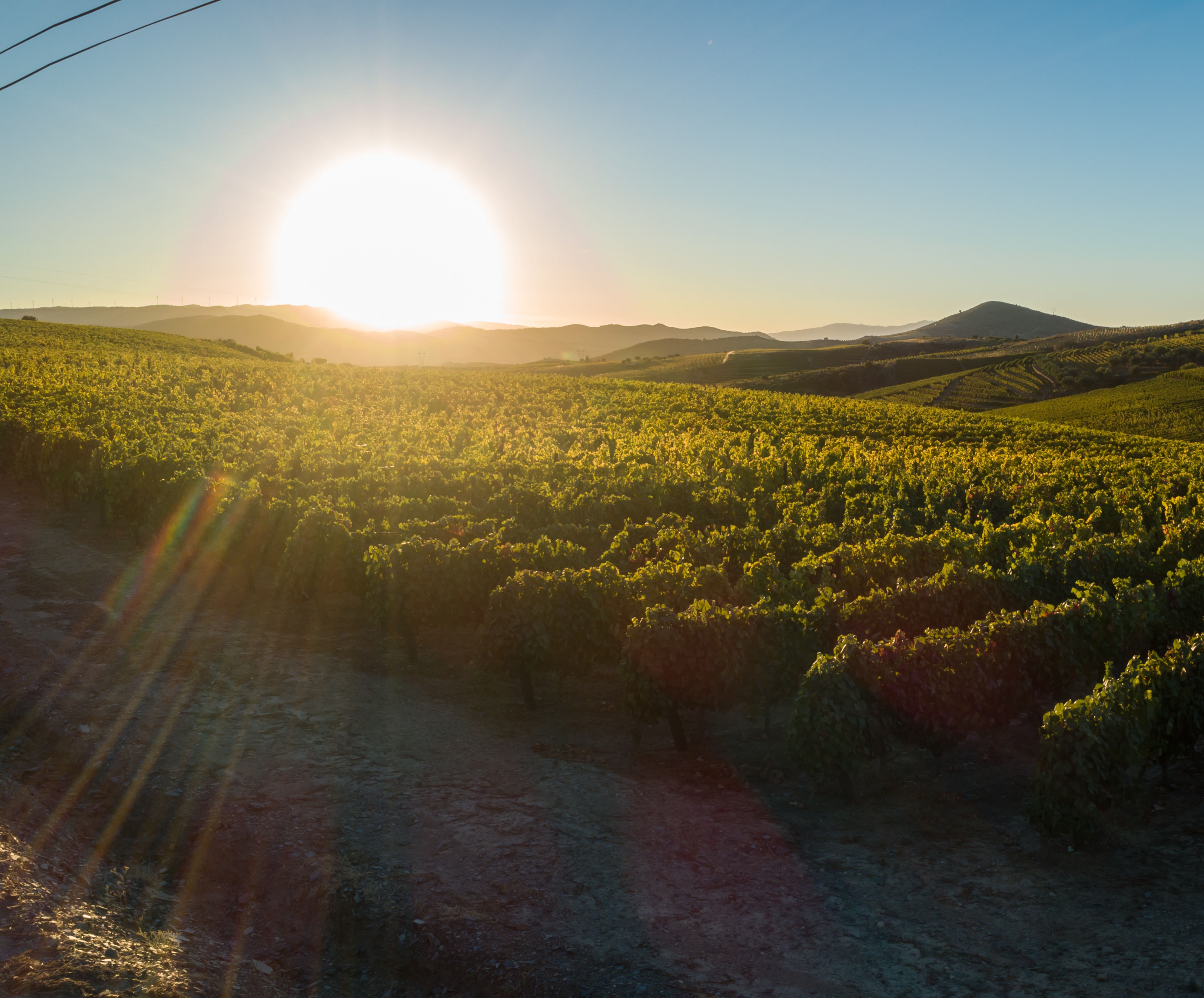 Douro 4