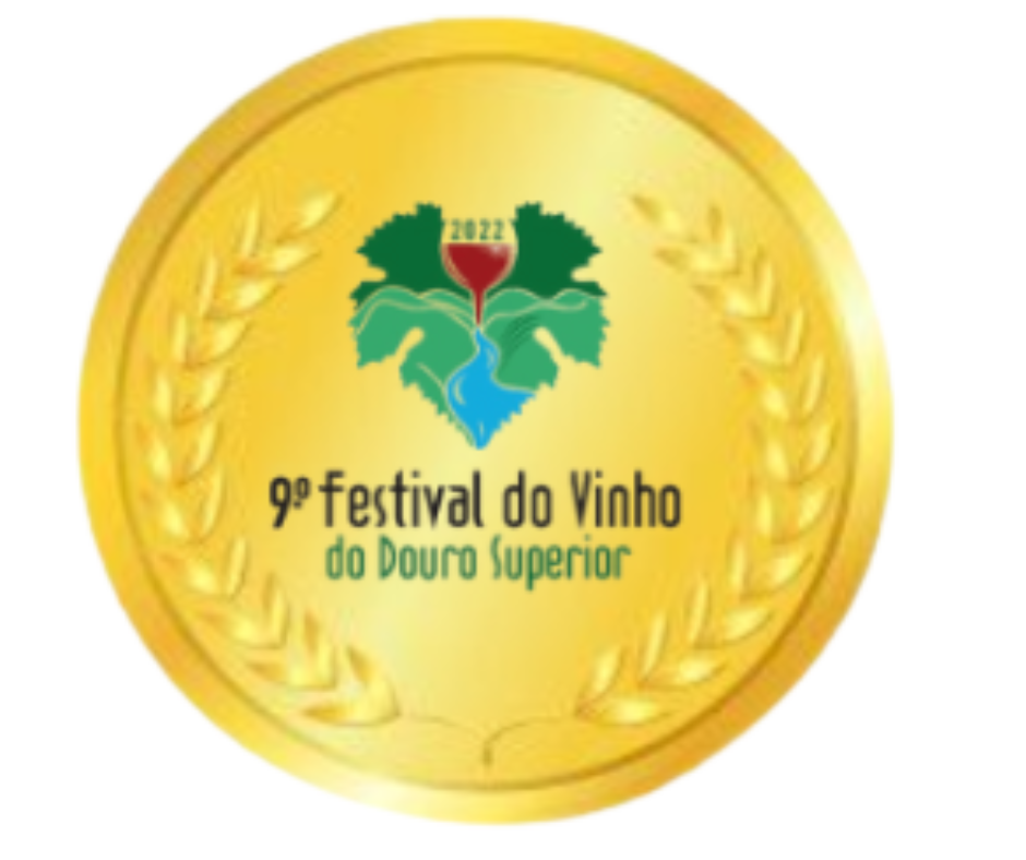 Douro Superior Wine Festival 3